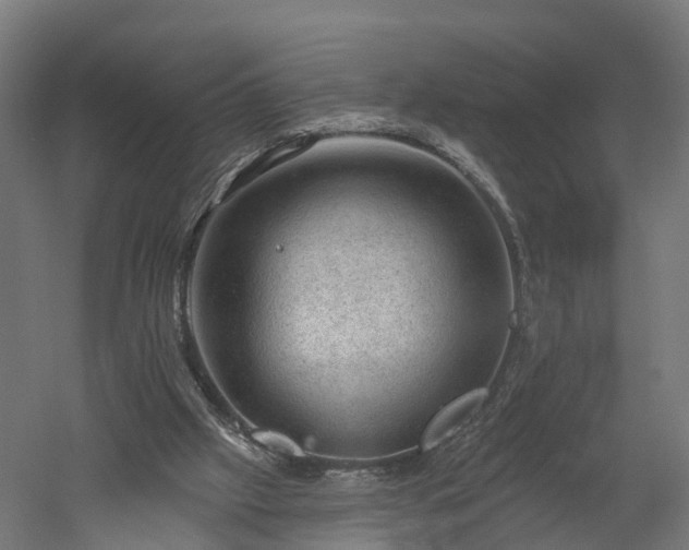 X0000052930057200507151627