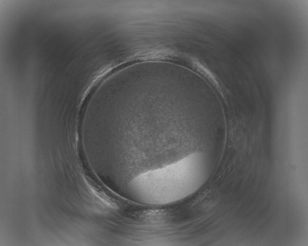 X0000052930059200507151627