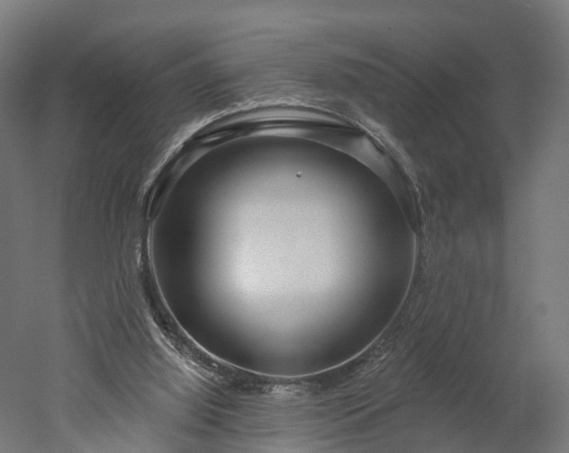 X0000052930060200507151627