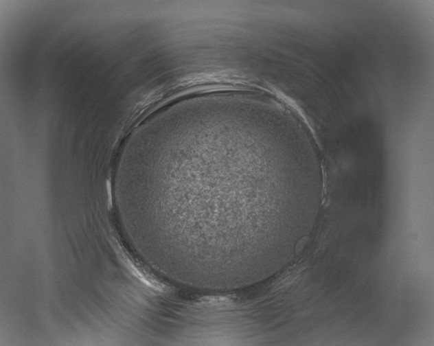 X0000052930061200507151627