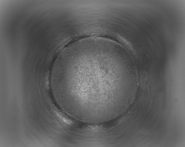 X0000052930065200507151628