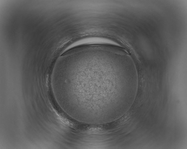 X0000052930066200507151628