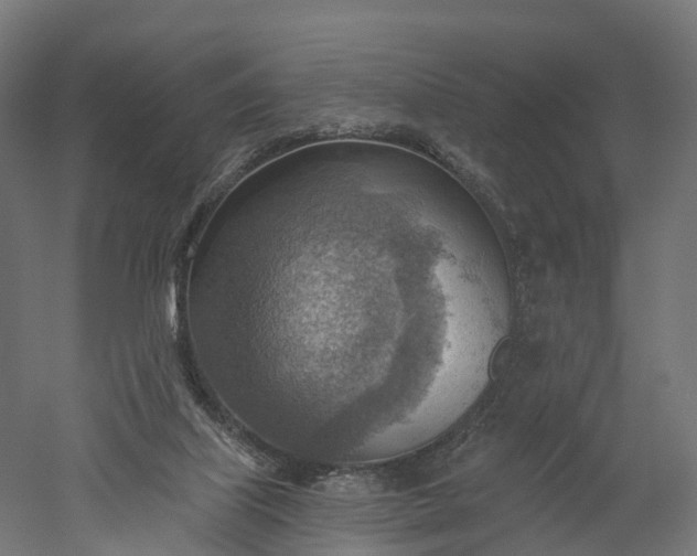 X0000052930067200507151628