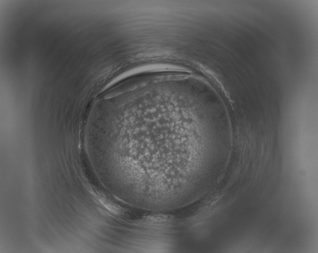 X0000052930069200507151628