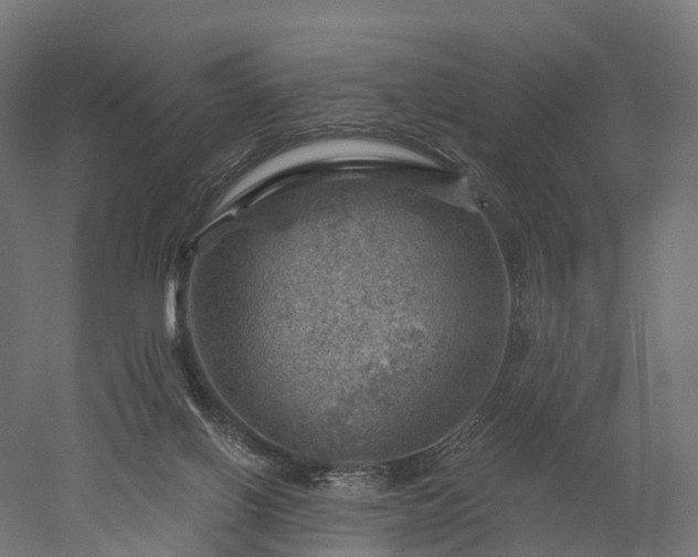 X0000052930070200507151628