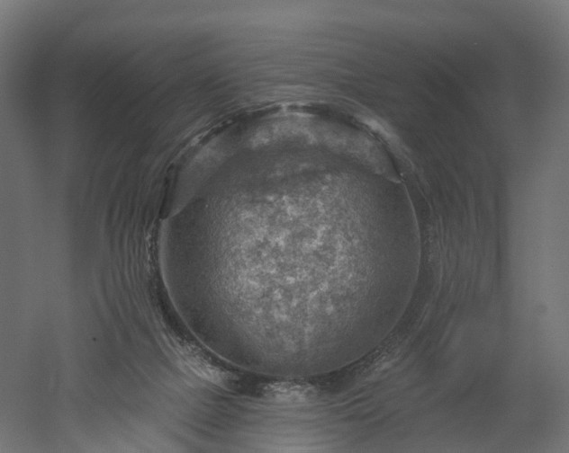 X0000052930073200507151628