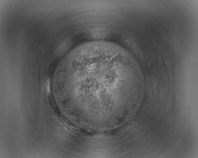 X0000052930075200507151628