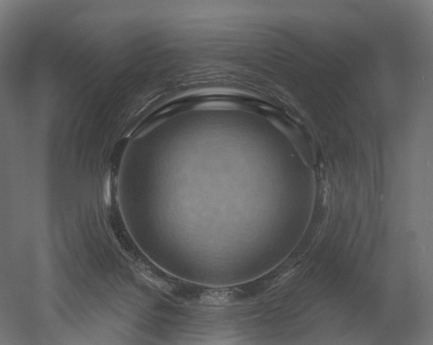 X0000052930076200507151628