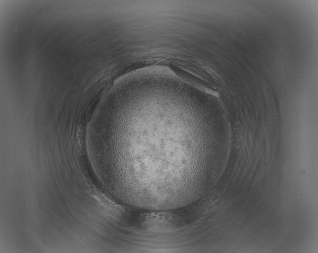 X0000052930077200507151628