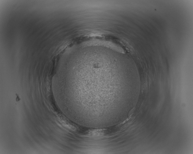 X0000052930078200507151628