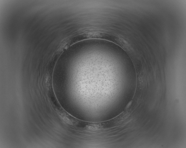 X0000052930079200507151628