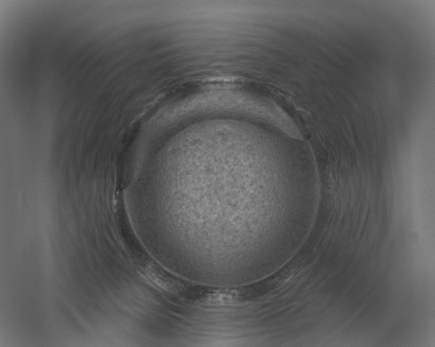 X0000052930080200507151628