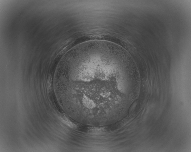 X0000052930081200507151628