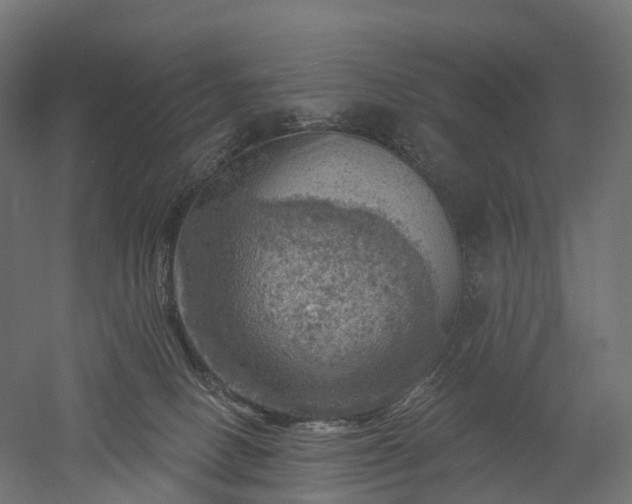 X0000052930082200507151628