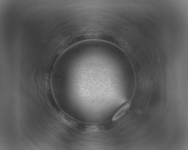 X0000052930083200507151628