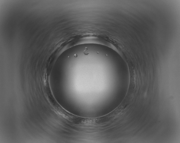 X0000052930084200507151628