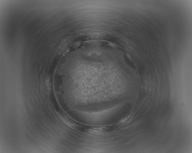 X0000052930086200507151628