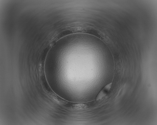 X0000052930087200507151628