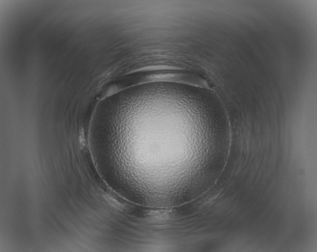 X0000052930089200507151628