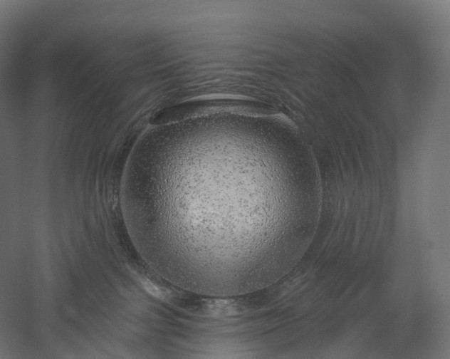 X0000052930091200507151628