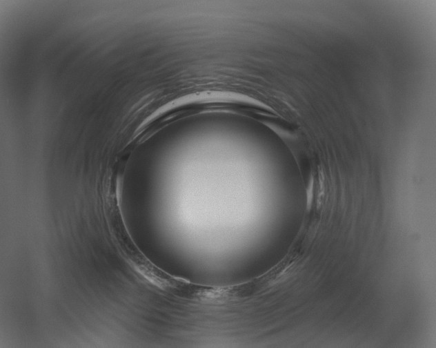 X0000052930092200507151628