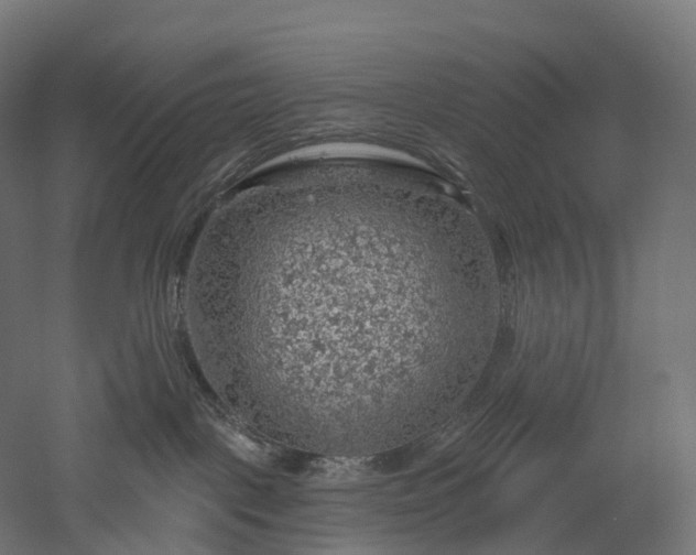 X0000052930093200507151628