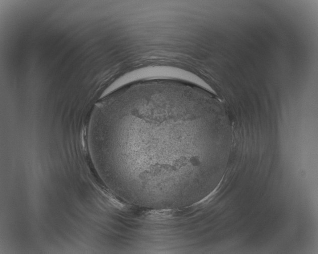 X0000052930094200507151628