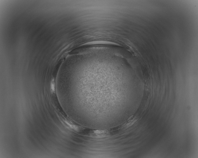 X0000052930095200507151628