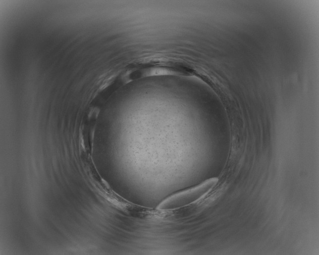 X0000052930096200507151628