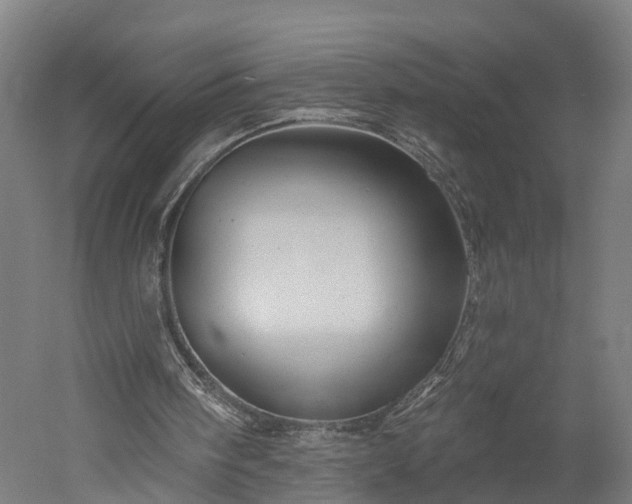 X0000052930098200507151627