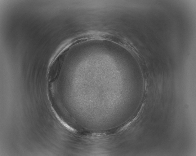 X0000052930101200507151627