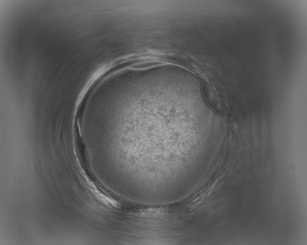 X0000052930102200507151627