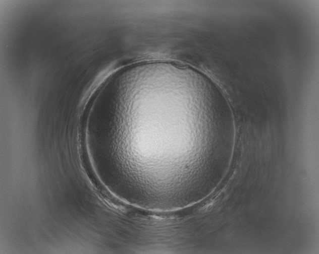 X0000052930103200507151627