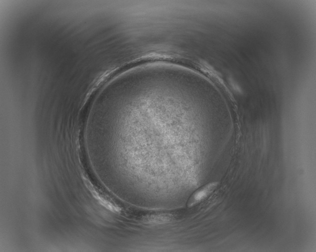 X0000052930106200507151627