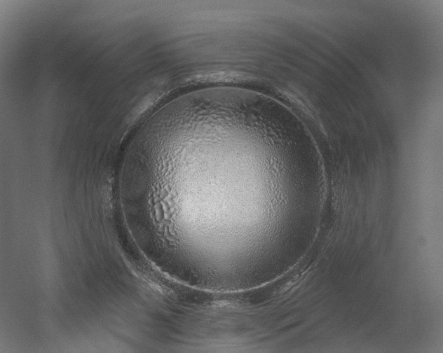 X0000052930111200507151627