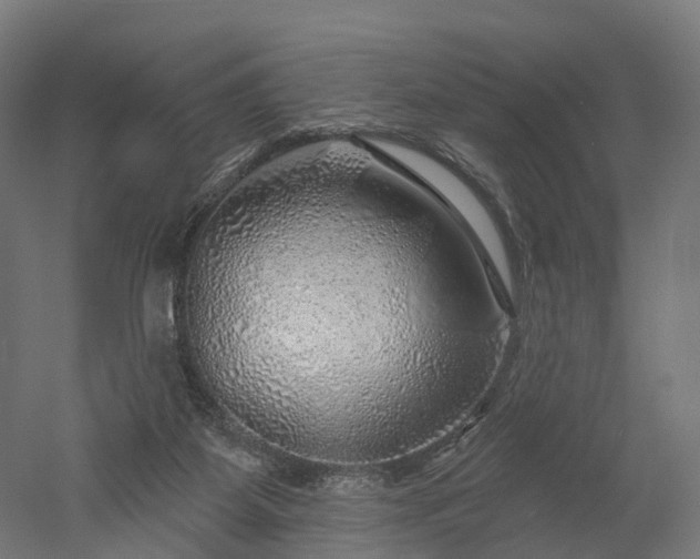 X0000052930115200507151627