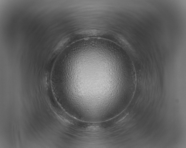 X0000052930119200507151627