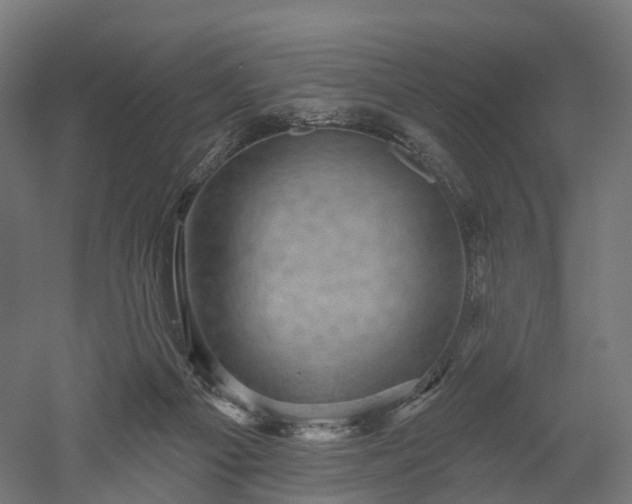 X0000052930121200507151627