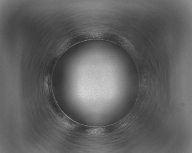 X0000052930122200507151627