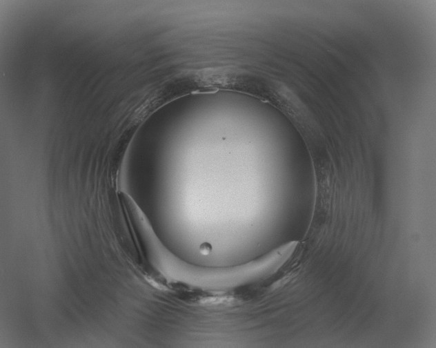 X0000052930125200507151627