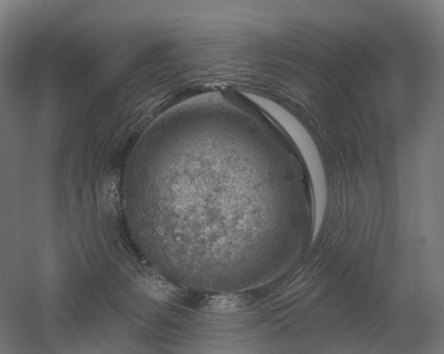 X0000052930127200507151627