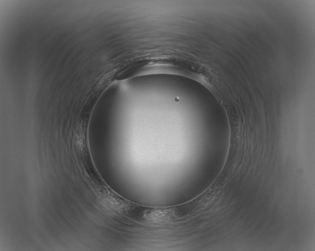 X0000052930129200507151627