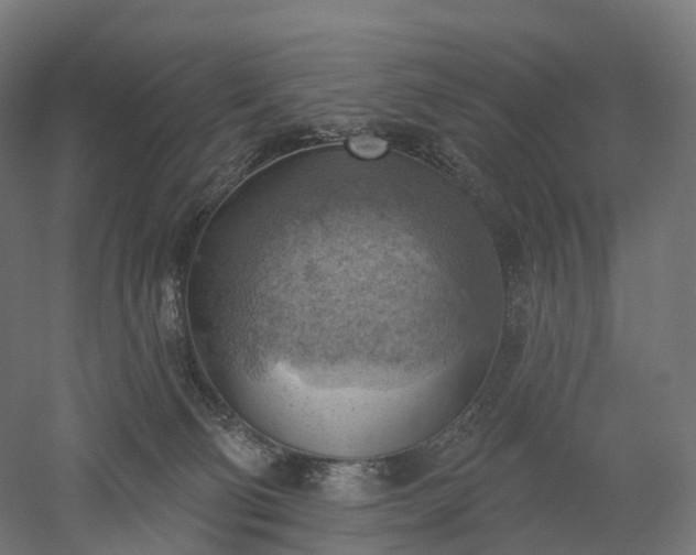 X0000052930130200507151627