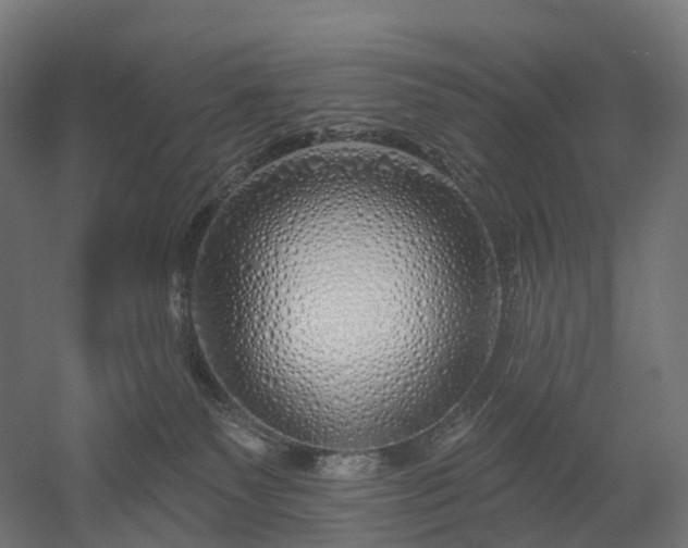 X0000052930135200507151627