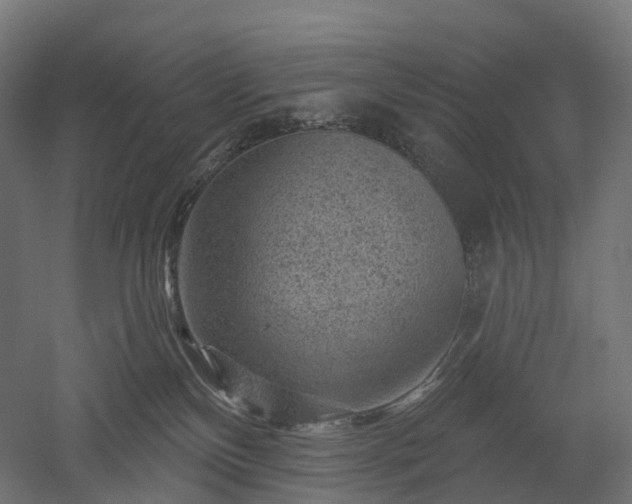 X0000052930136200507151627