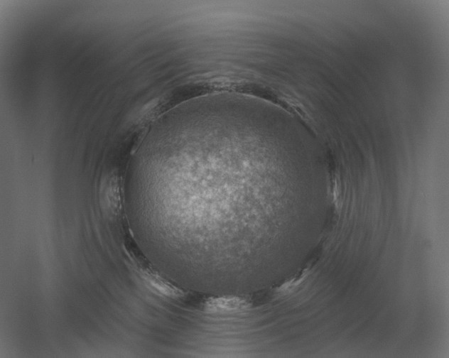 X0000052930137200507151627