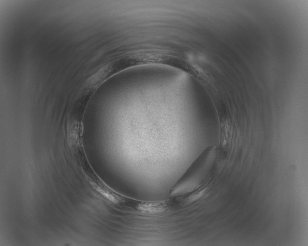 X0000052930141200507151626