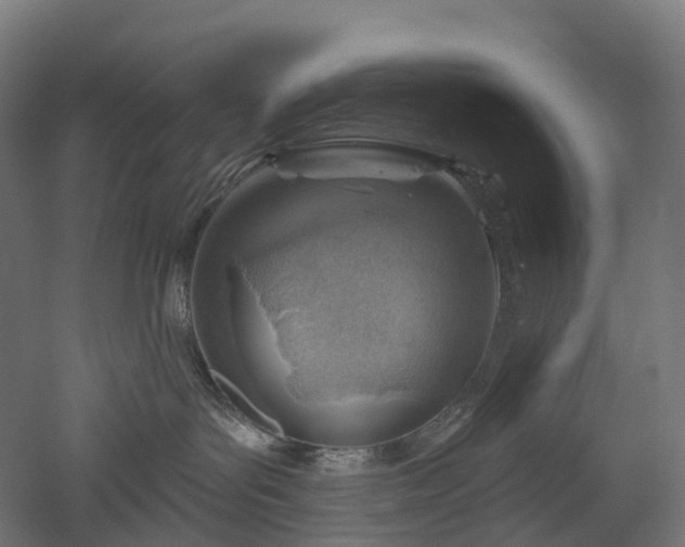 X0000052930143200507151626