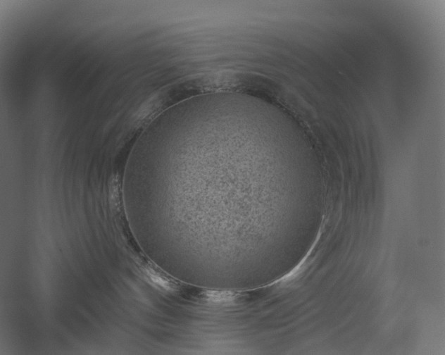 X0000052930144200507151626