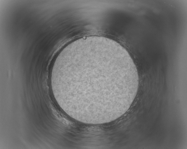 X0000052930146200507151626